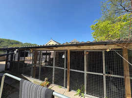 Kennel Block
