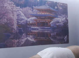 MALE professional masseur