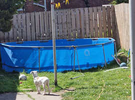 14ft swimming pool