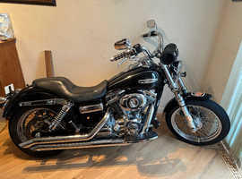 Harley