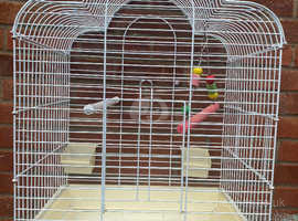 Love bird . Parrot. Canary cage