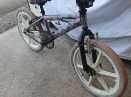 Girls Raleigh BMX 10" Frame