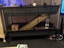 2 tier guinea pig/rabbit cage