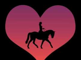 Company for two horses.