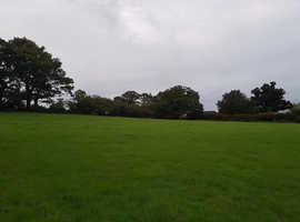 Paddocks / Stables to Rent - New Forest National Park