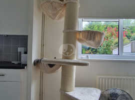Ceiling to floor cat tree for XL cats.