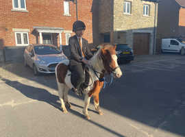 Sad sale of our much loved leadrein pony who's been sadly out grown