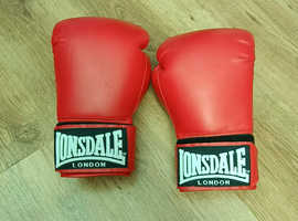14 Oz Boxing Gloves