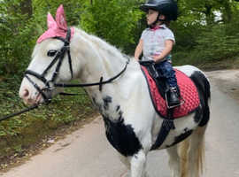 *Fantastic child's pony*