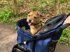 Argos sales dog stroller