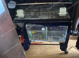 Budgie cage argos sale