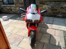 DUCATI 996 2002