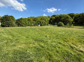 Livery space on private yard Sheffield
