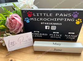 Pet Microchipping