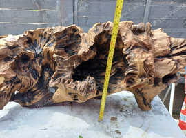 Xxl bogwood
