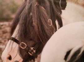 Rowebuck Stables, Uckfield