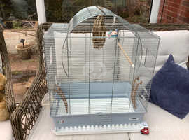 Argos discount bird cage