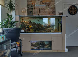 5ft marine tank full set up