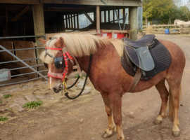 Charlie beautiful rising 4 year old
