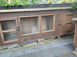 Dog shed and run or ideal  for chickens