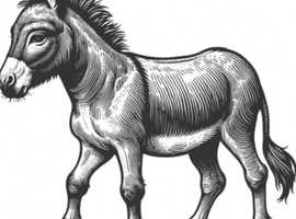 Wanted donkey