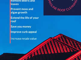 Proline roof cleaning