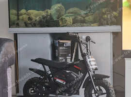 3 1/2 foot fish tank with everything