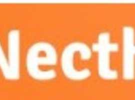 web developer needed