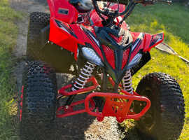 125cc Elite Snipe 25 in Red