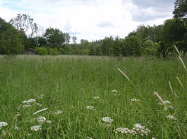 Brit in Denmark selling 50.90 acres (20.6ha) nature ground, lake & forest in LATVIA