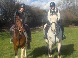 Ultimate Family Cob