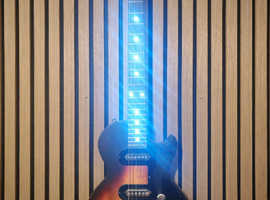Led ephiphone les Paul's