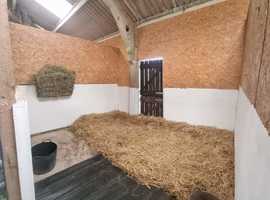 Livery Rowebuck Stables Isfield Uckfield in Uckfield