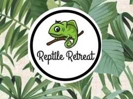 Reptile holiday home rental and pet sitting service