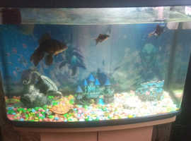 3fish tank and stand