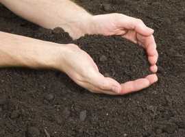 Free soil