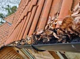 Bungalow gutter clearing