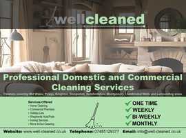 Well-Cleaned Cleaning Services