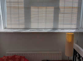 Free white window blinds