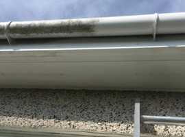 Gutter Cleaning