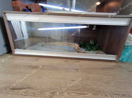 Bearded dragon tank complete set up and extras