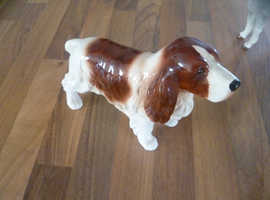 Springer spaniel dog Ornament