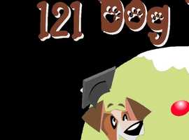 121 dog training