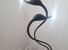 Beautiful Black Swan Lights