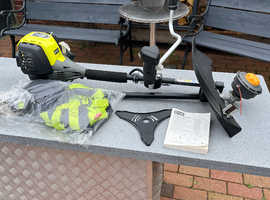 Ryobi brush cutter/strimmer £100 bargain
