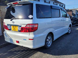Toyota alphard camper