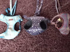 3 x dog harness with matching lead