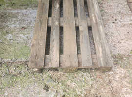 Wooden pallets x 6