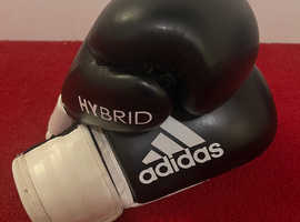 Boxing Gloves, Head Guard & Focus Pads