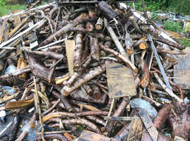 Large amount of logs (free)